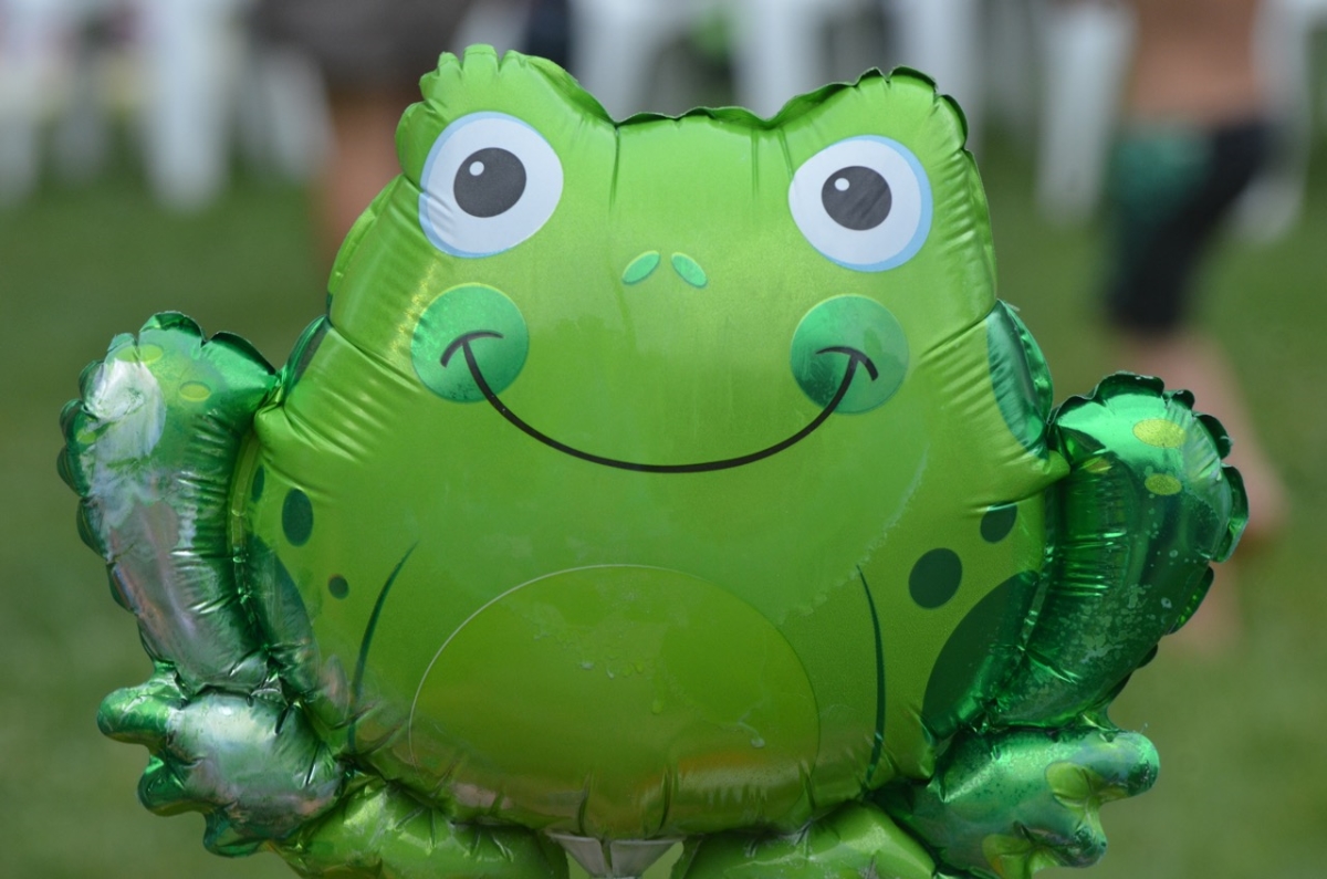 Frog Balloon